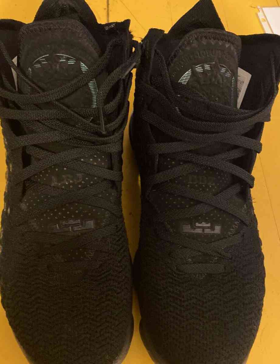 lebron 17