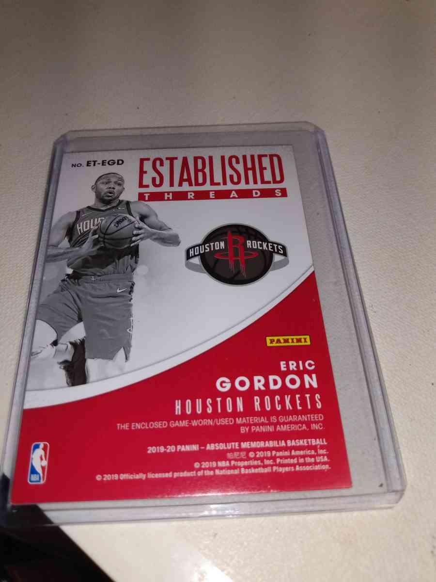 2019 2020 established threads Eric Gordon relic card panini