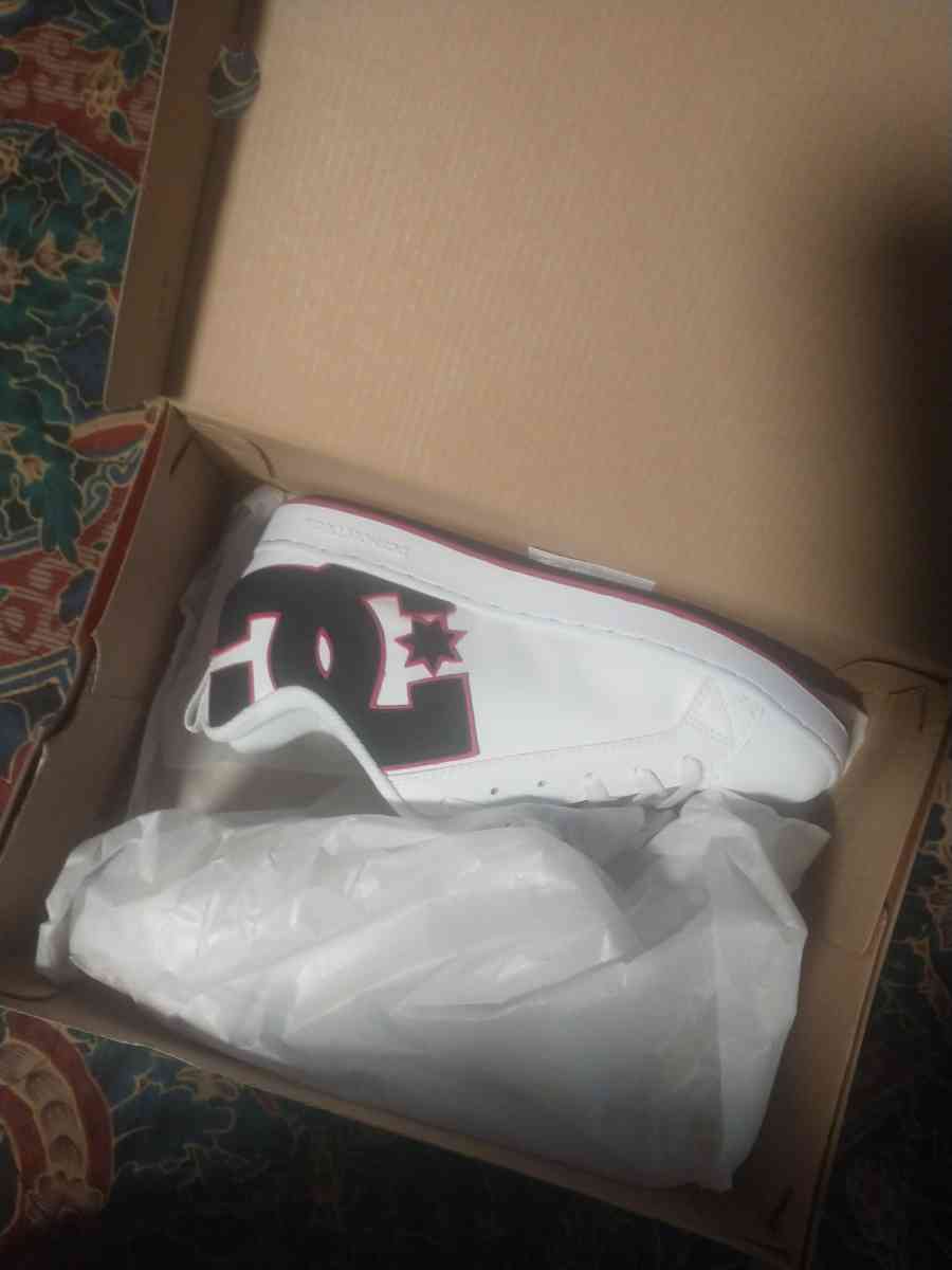 size 8 5 court graphic DC Shoes