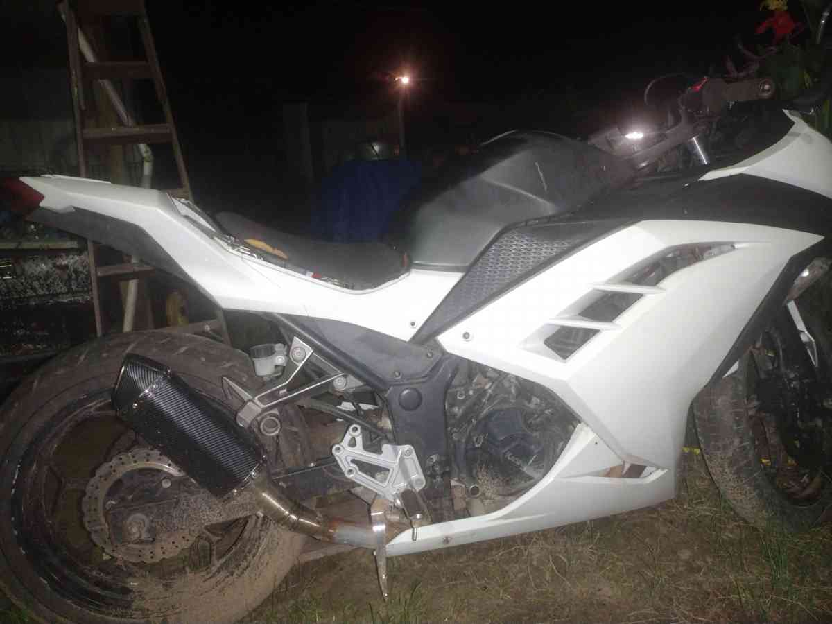 2015 Kawasaki 300 Ninja