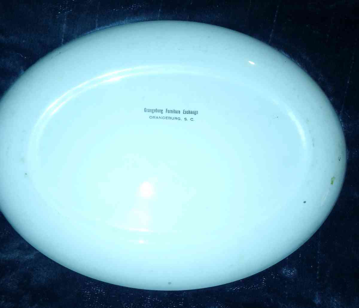 A Thanksgiving platter with a Turkey on it