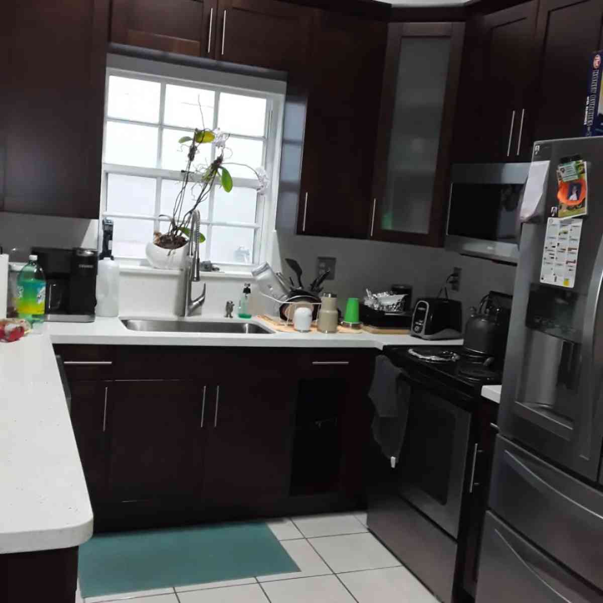 carpenter paint  construction and remodeling in general