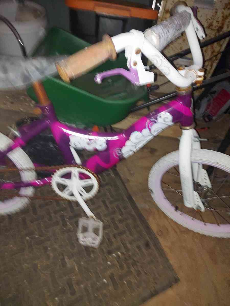littlegirls bike