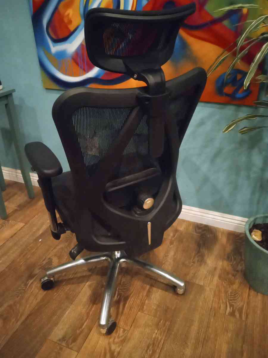 SIHOO Desk Chair Classic M18 Triple Spine Support