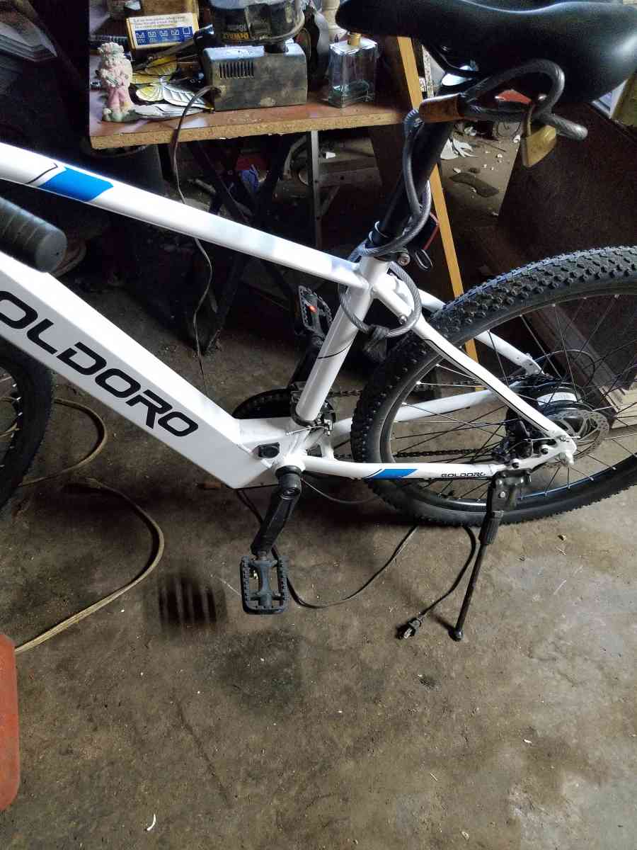 e bike