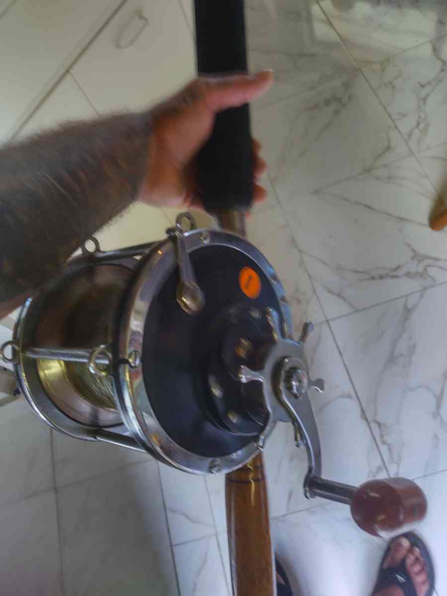 fishing rods and reels