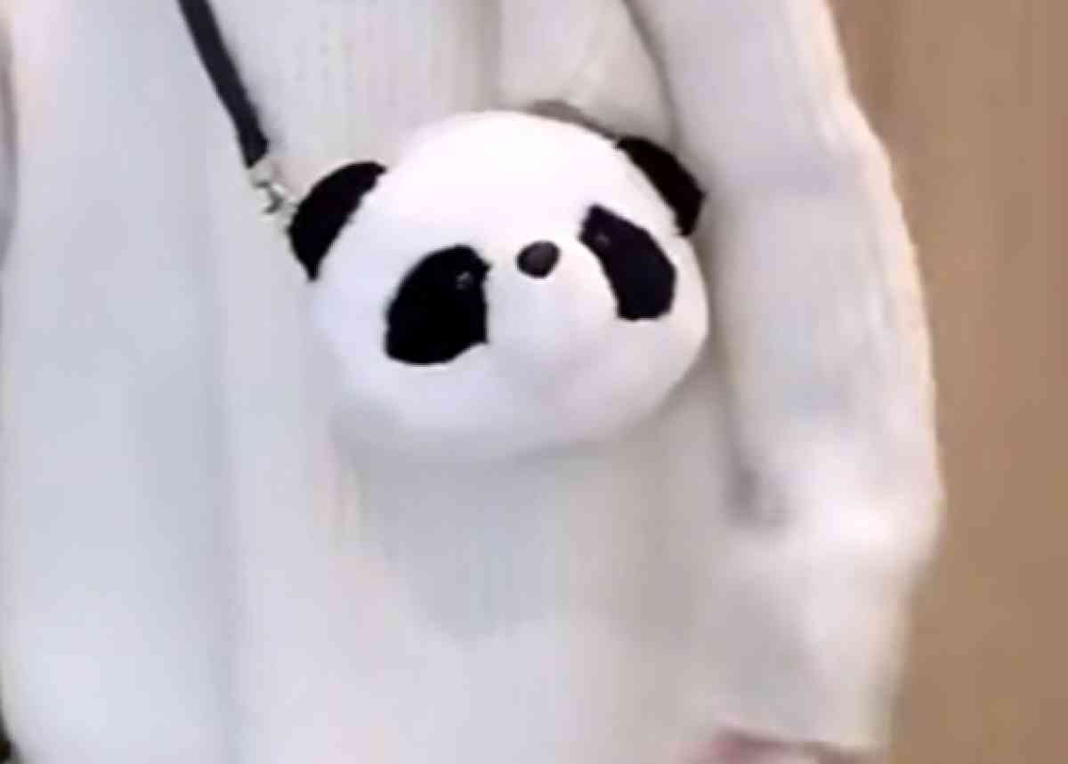 Brand New PANDA PURSE