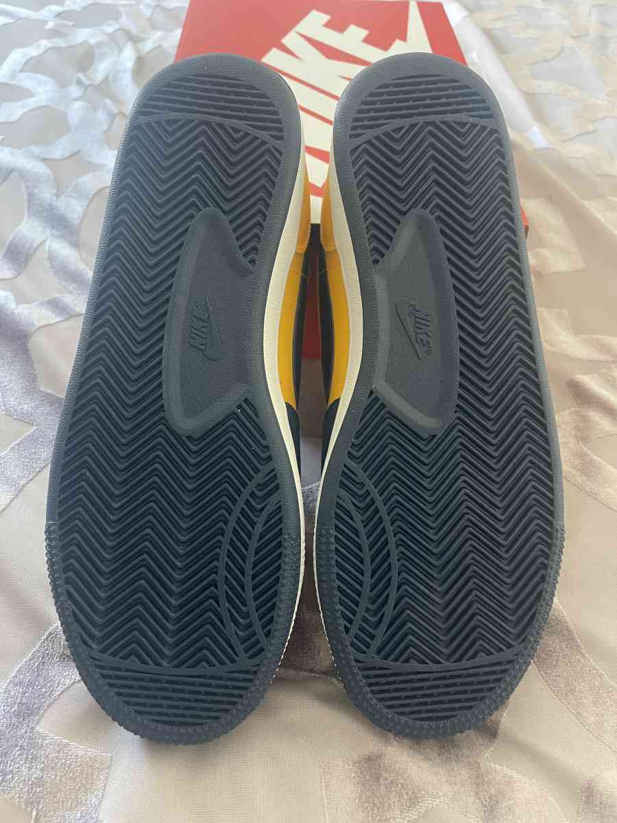 Nike Terminator Low OG