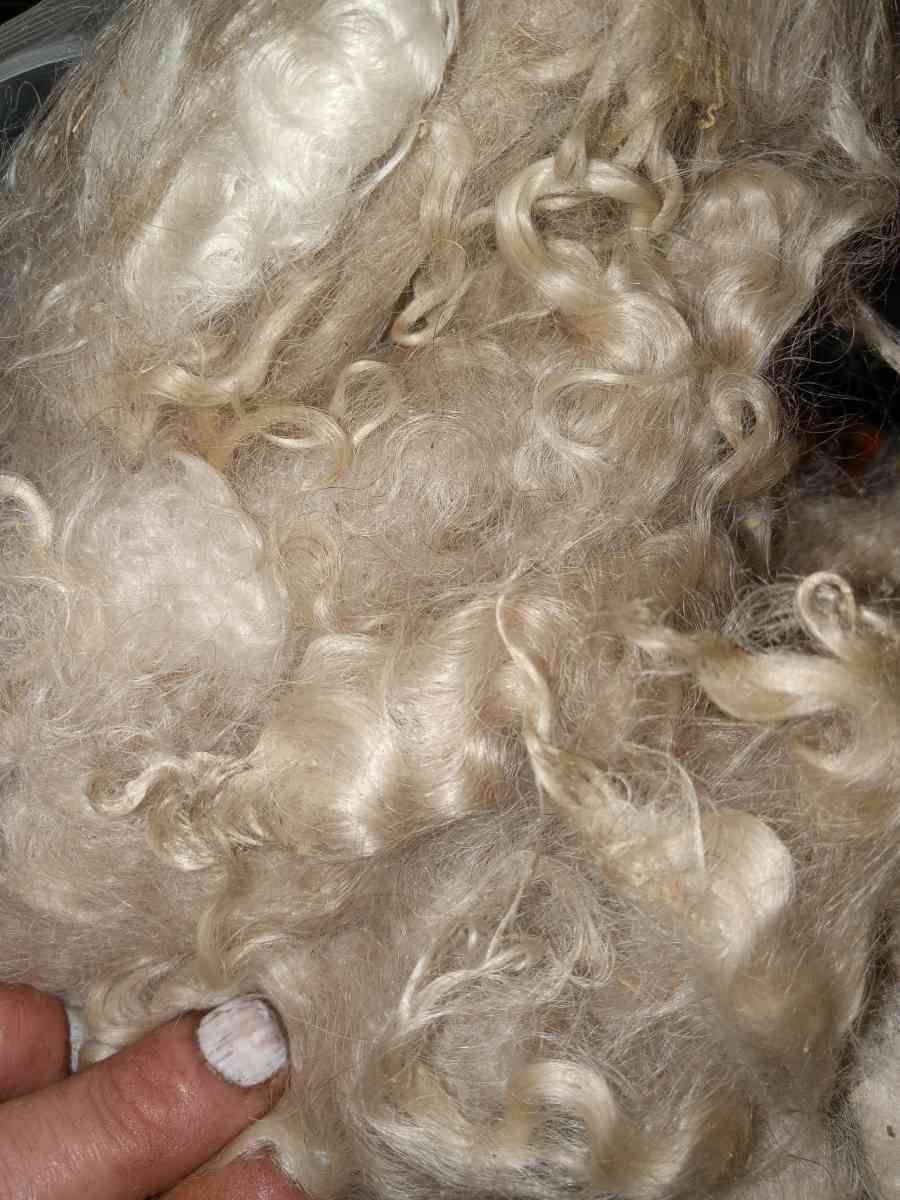 Goats Wool