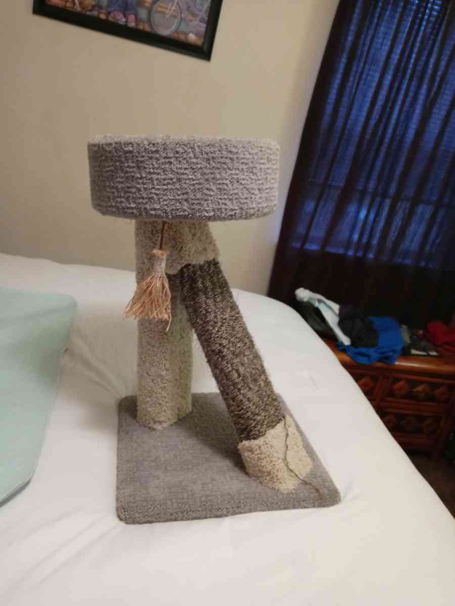 small cat tree