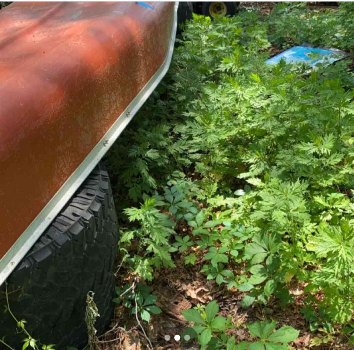 17ft Coleman canoe