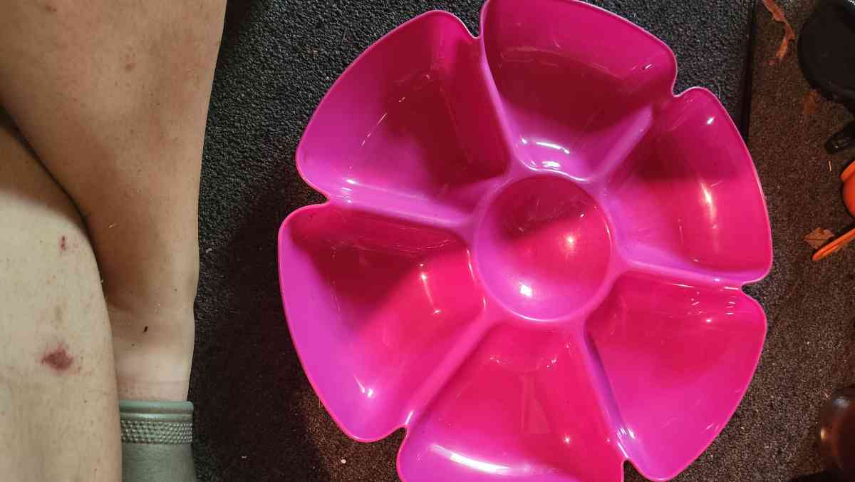 Divided Tray for Fruit and Dip in the Middle