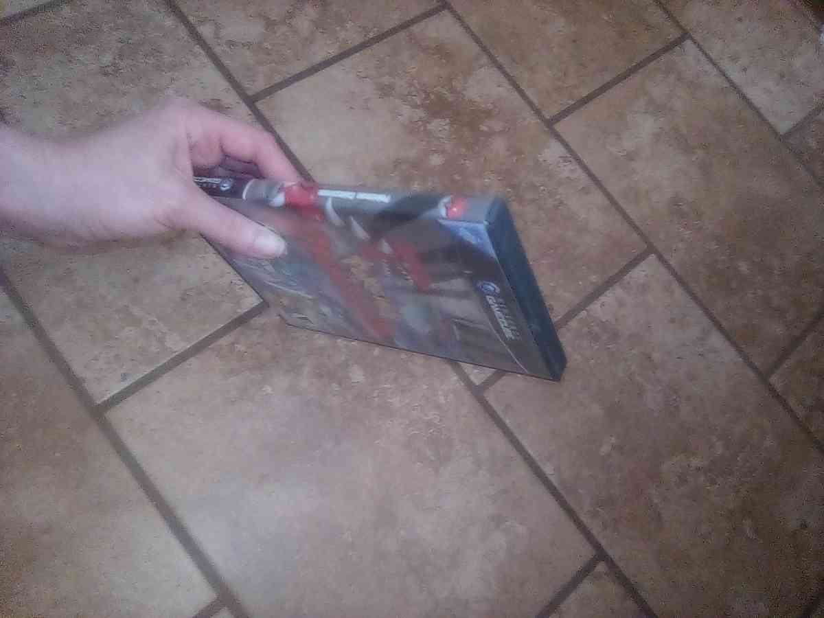 Pokemon colosseum Nintendo gamecube