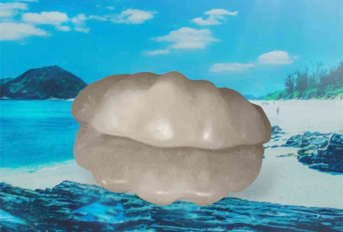 Small Calcite Clam Carving