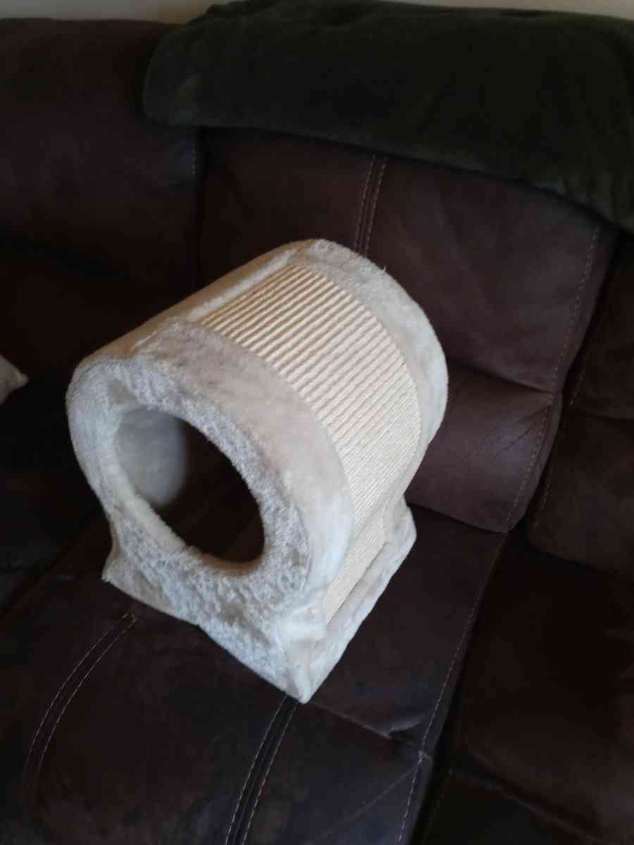 fish shaped scratching post