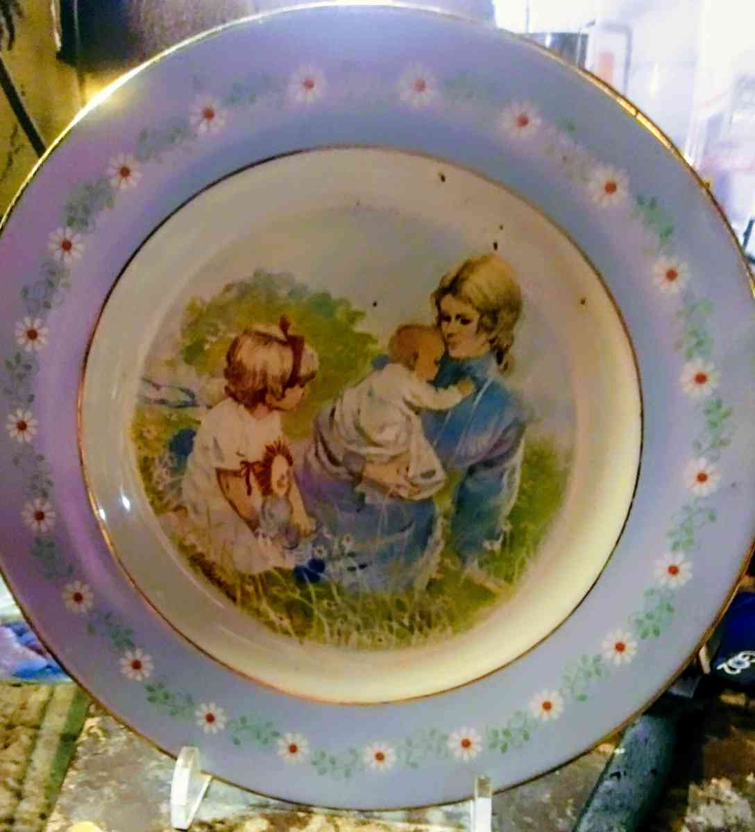 Collector Plates