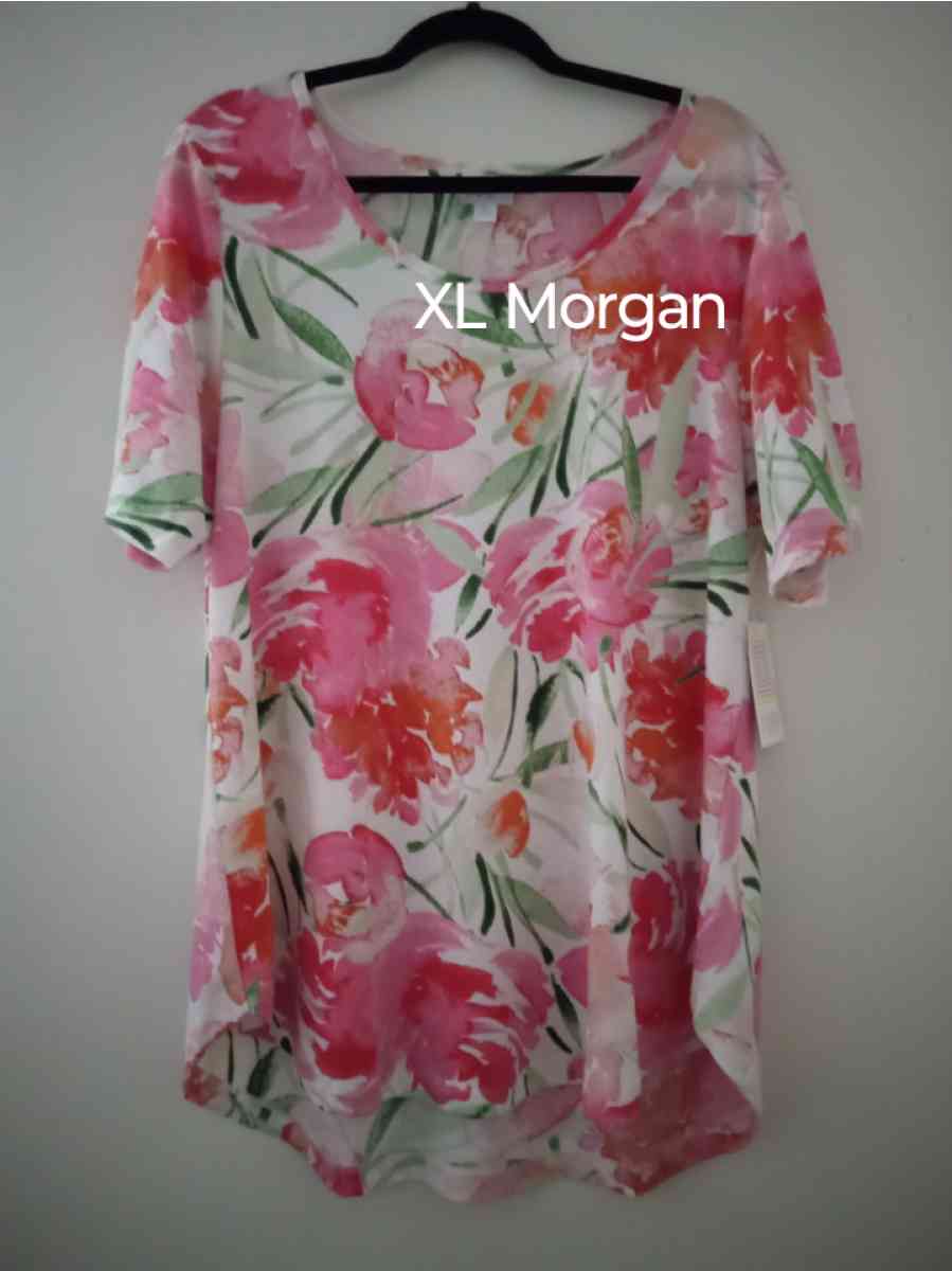 BNWT LuLaRoe XL outfit Bella wrap skirt and XL Morgan 35