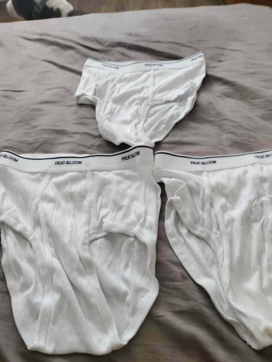 fruit loop mens underwear