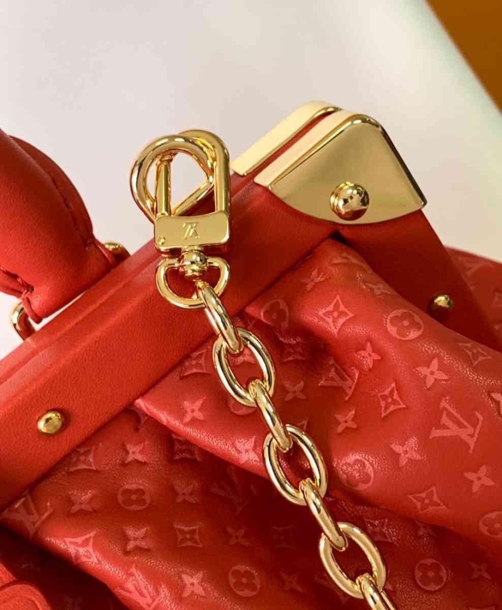 LV Bag