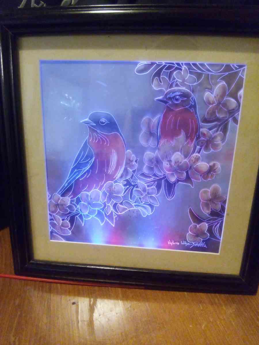 framed picture of two birds with LED lighting