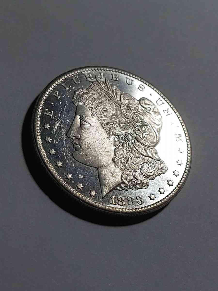 HIGH GRADE GEM DEEP MIRROR DMPL SILVER 1883 cc