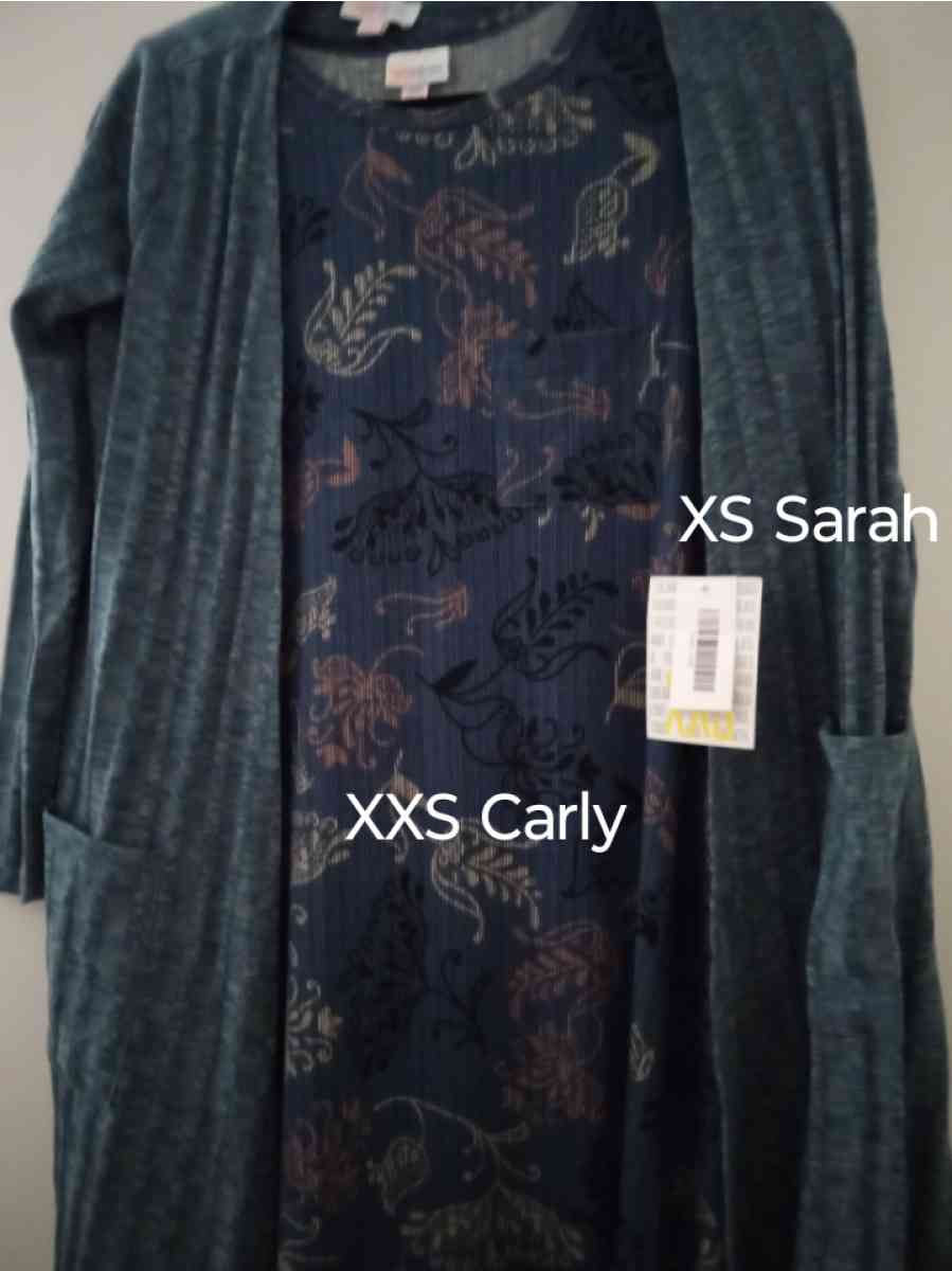 NWT LuLaRoe Dresses and Covers 40 each outfit