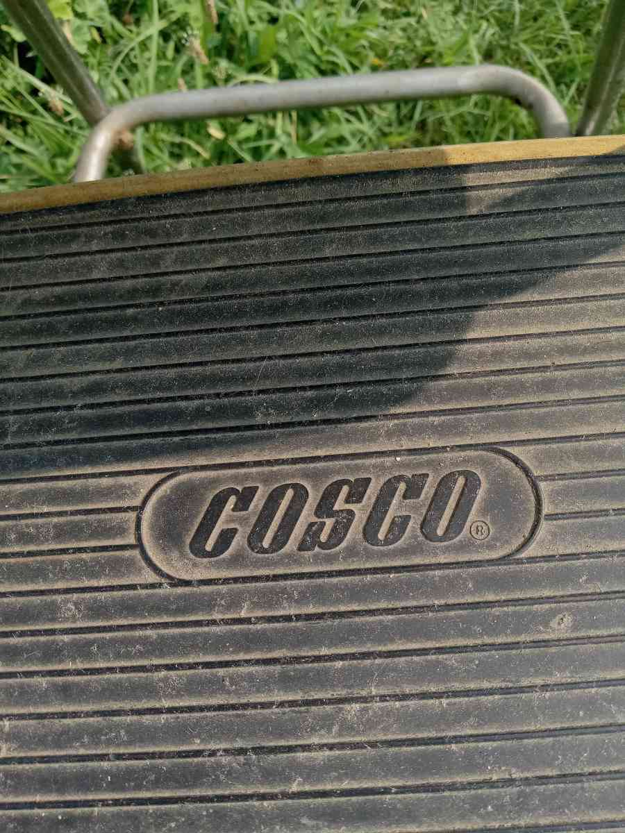 1950s Antique Kitchen Step Stool