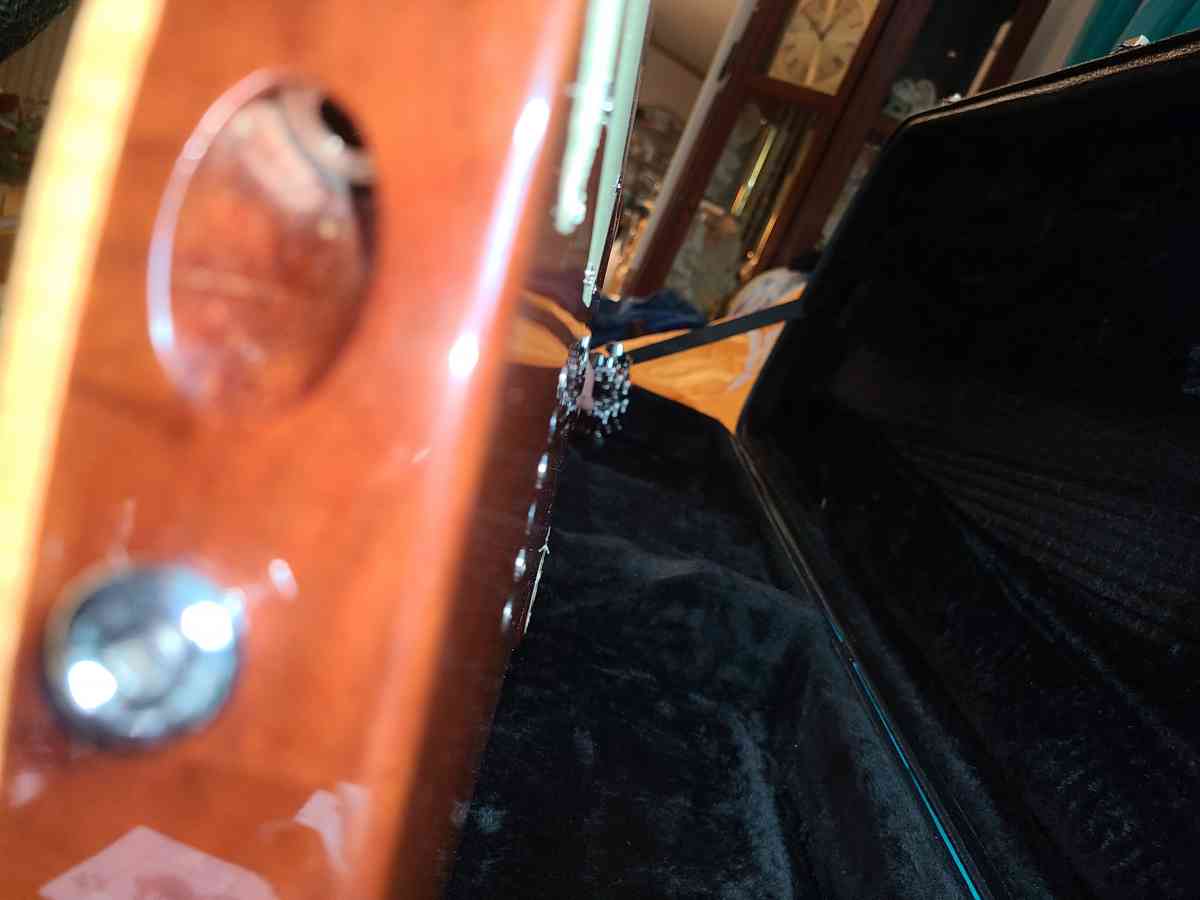 This Beautiful Electric Mitchell Guitar