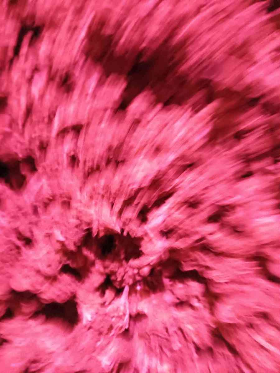 Over Half Pound of Marijuana Gorilla Glue