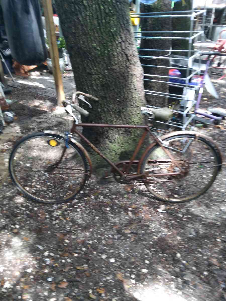 2  1973 Schwinn mens womens worry about that bicycle