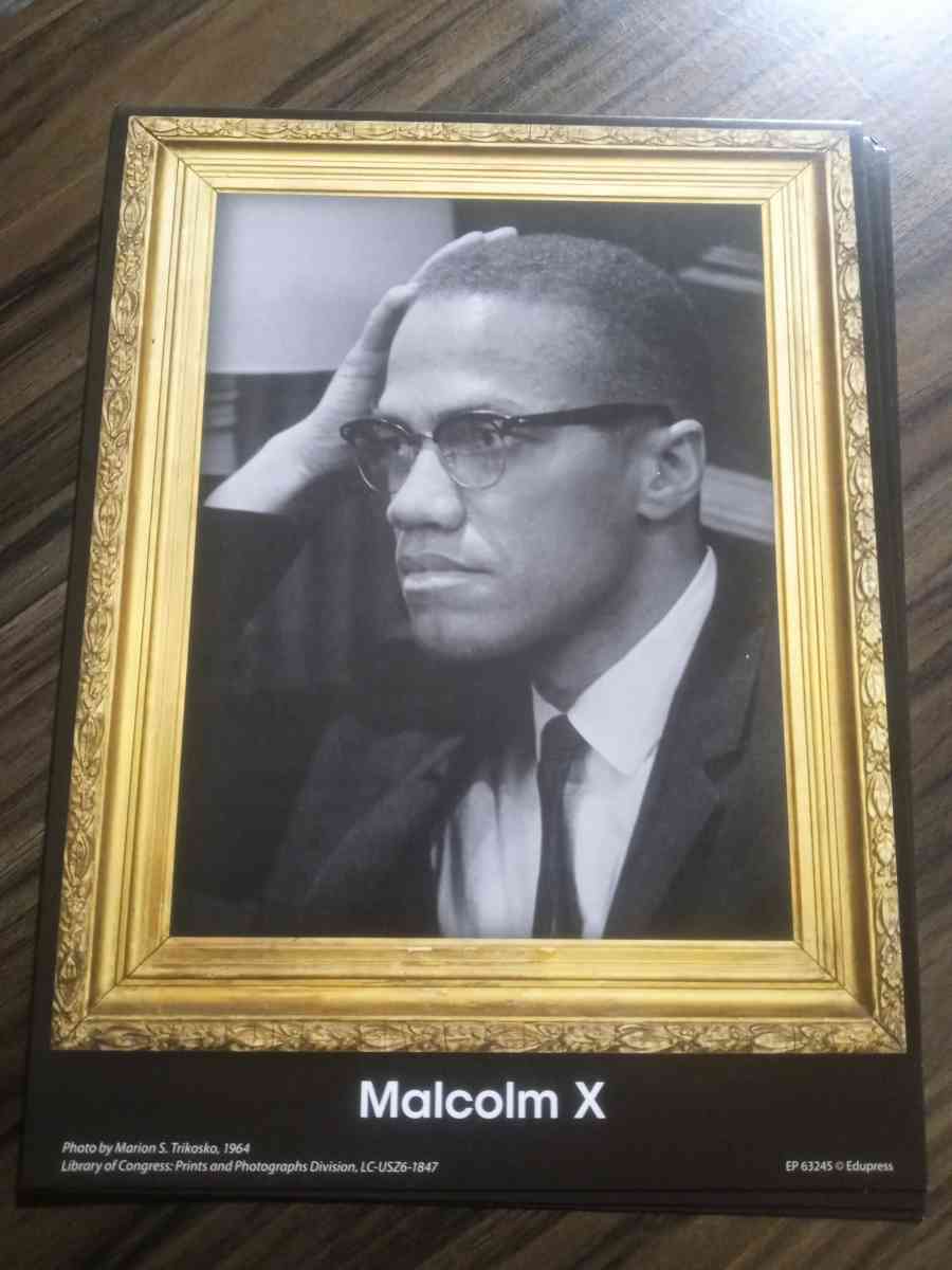 MALCOLM X PORTRAIT