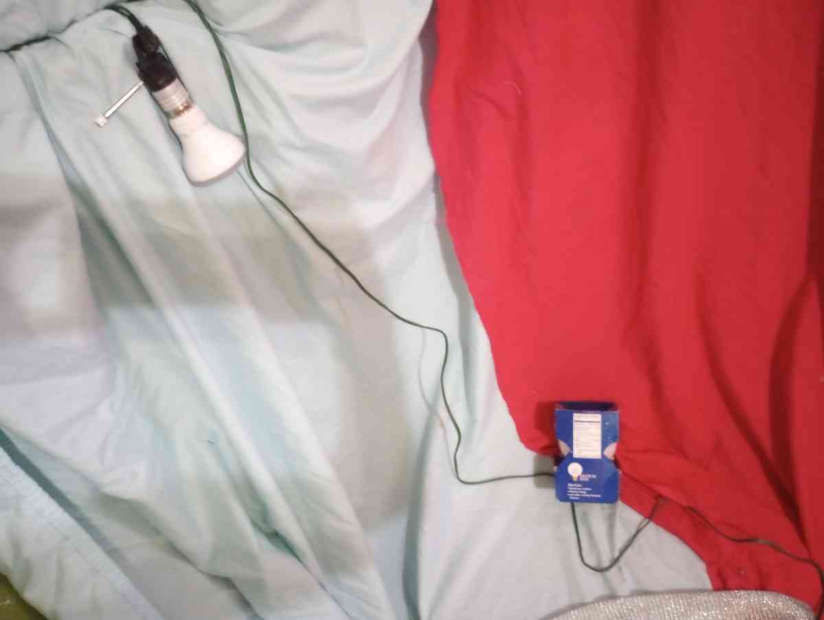 Grow Light for Indoor Plants with Extra 40 watt Bulb