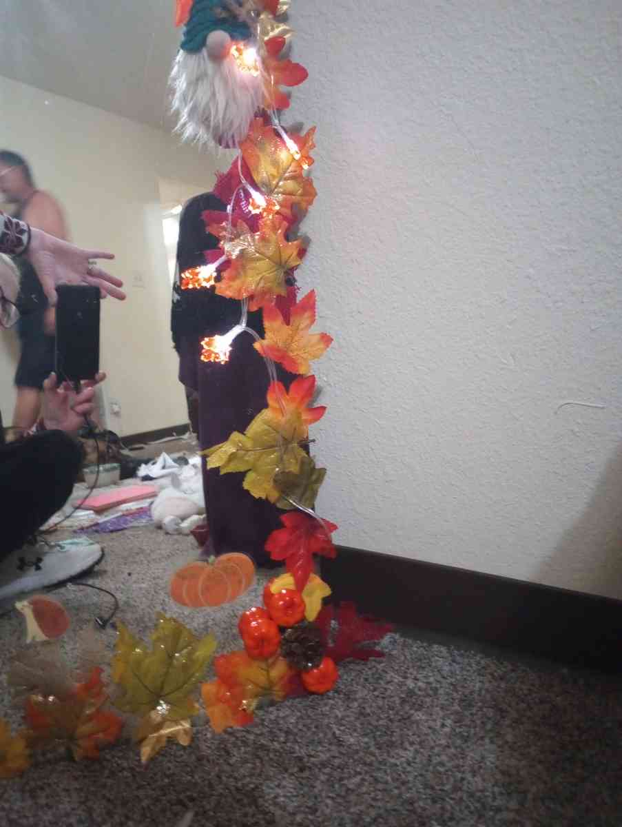 48 in x 32 in Full Length Fall Frame Mirror