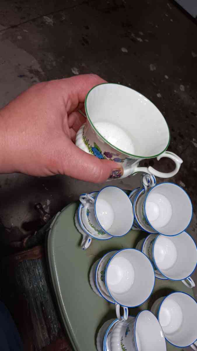 13 piece fine bone china tea cups hanpainted