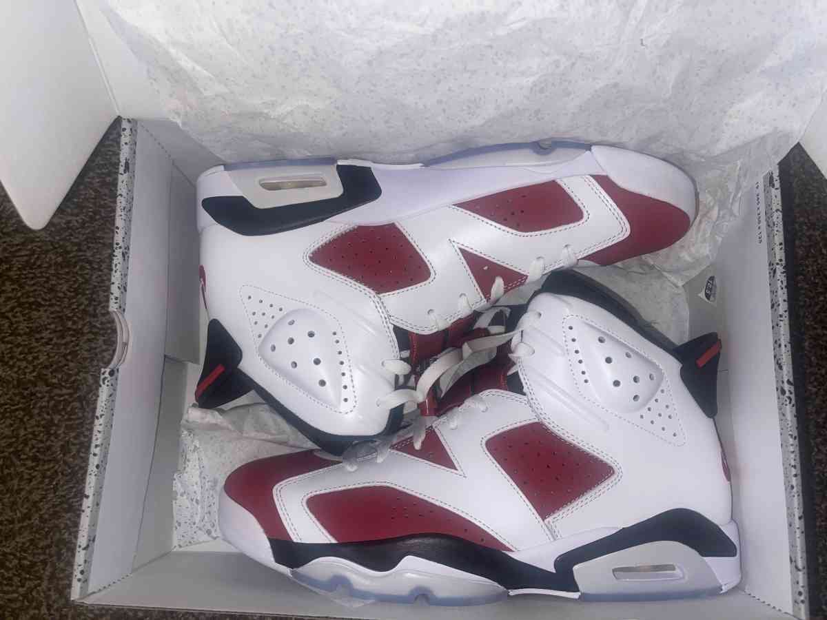 Jordan 6 Carmines
