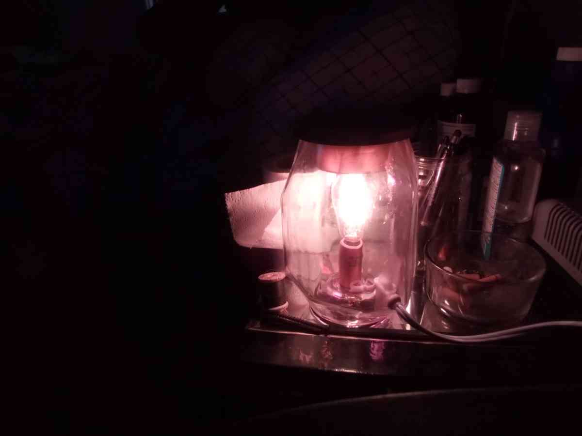 Conair heating pad new