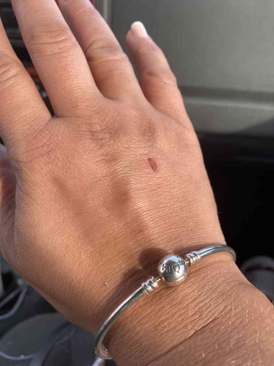 pandora silver kiss bangle