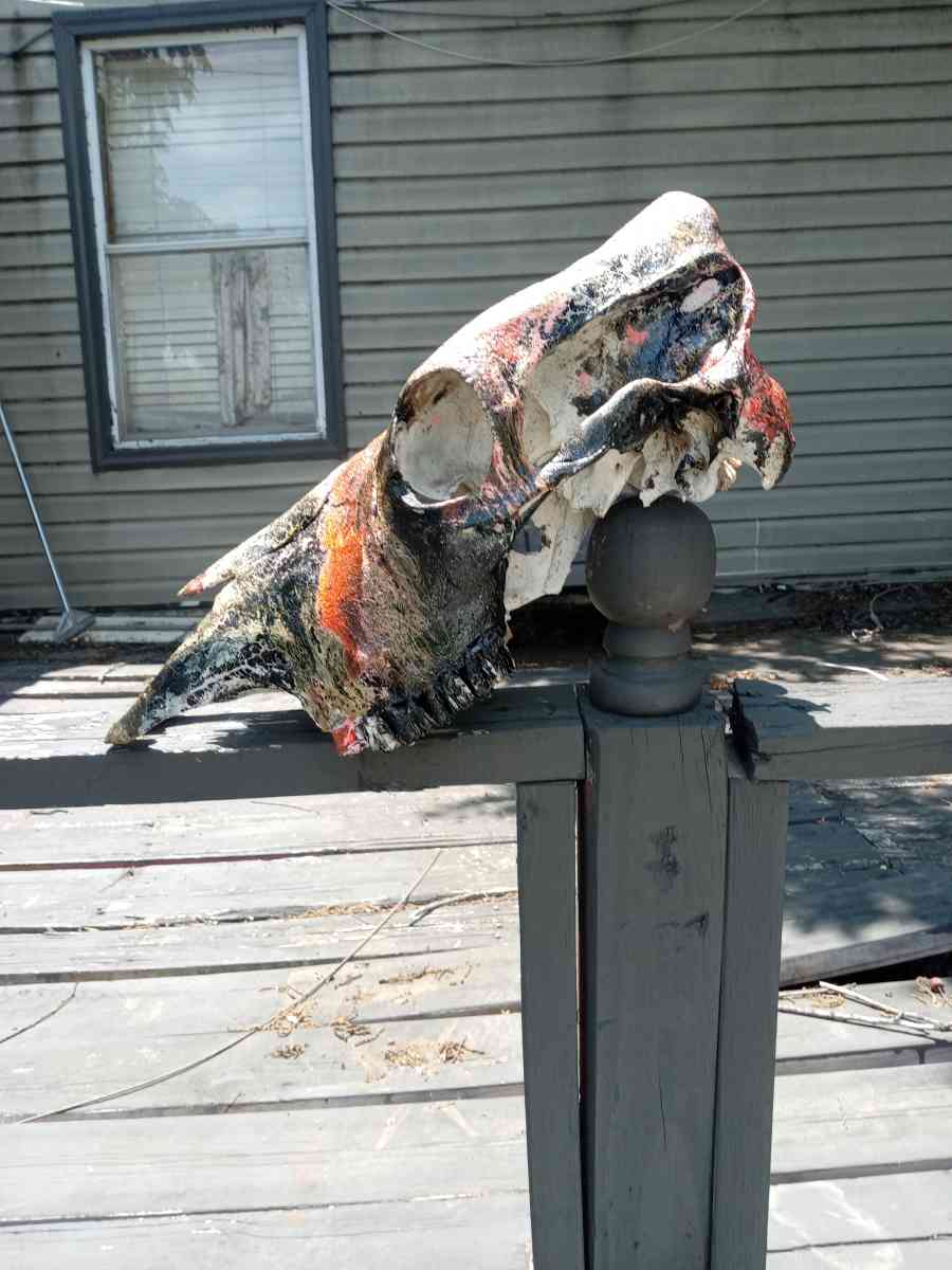 hydro painted cow skull