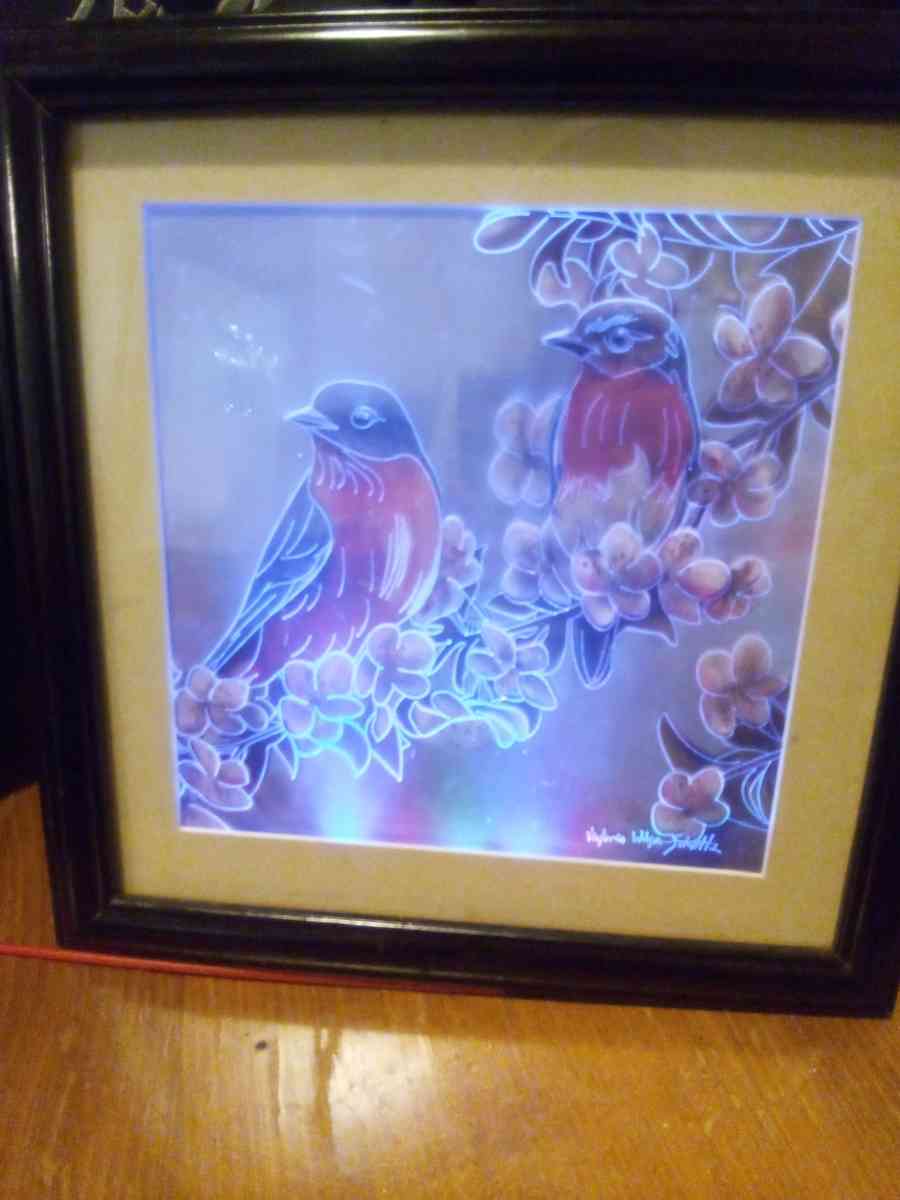 framed picture of two birds with LED lighting