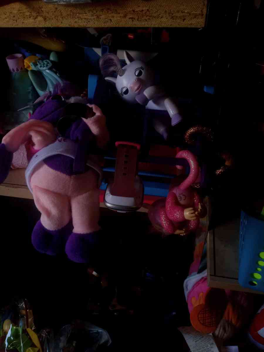 fingerlings 5 dollars  each