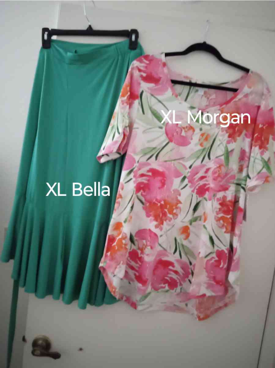 BNWT LuLaRoe XL outfit Bella wrap skirt and XL Morgan 35
