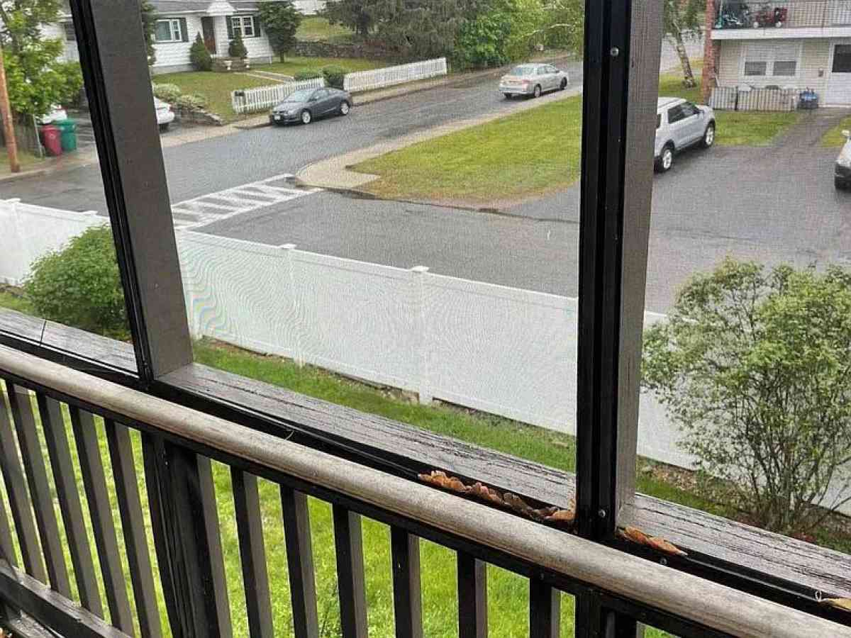 Highlands Neighborhood Lowell Massachusetts Apartment