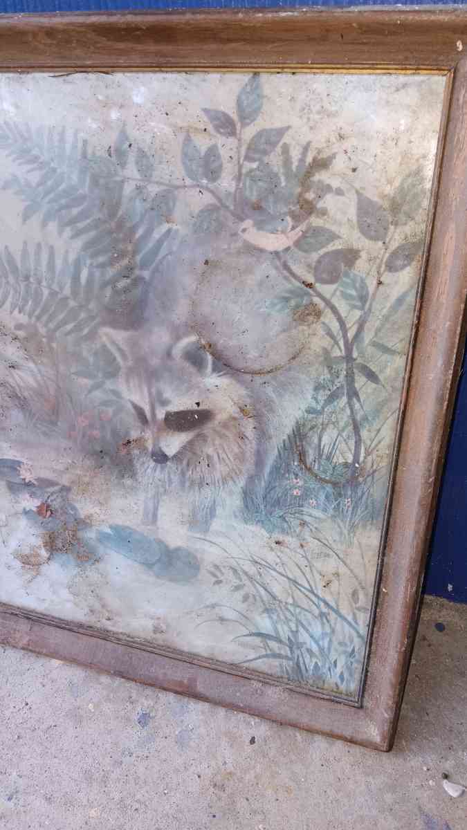 F MASSA RACCOON PAINTING FRAMED