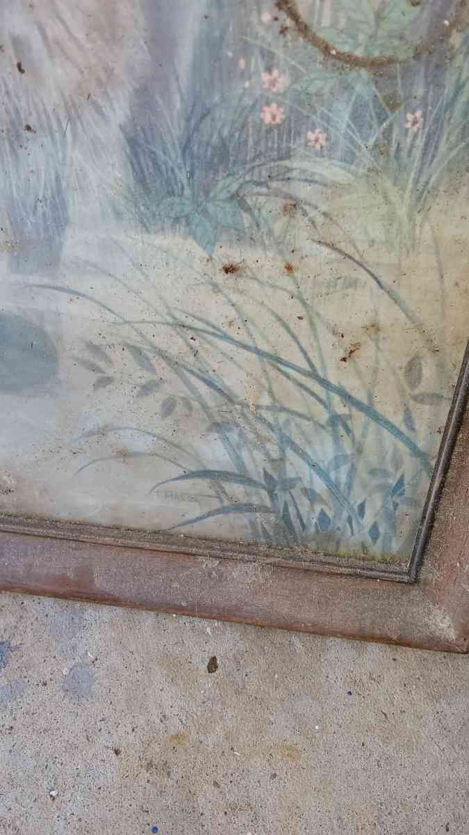 F MASSA RACCOON PAINTING FRAMED