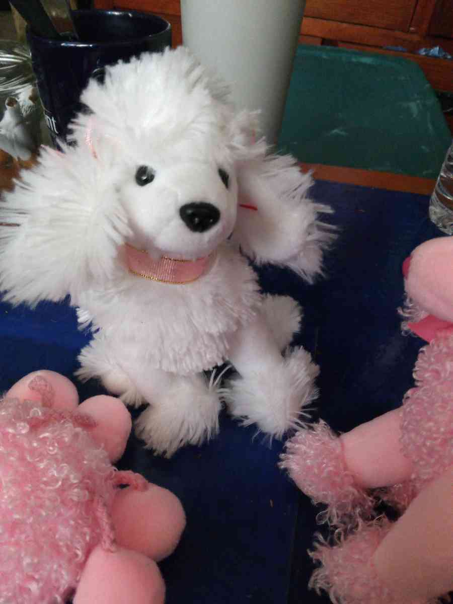 TY L amore beanie baby