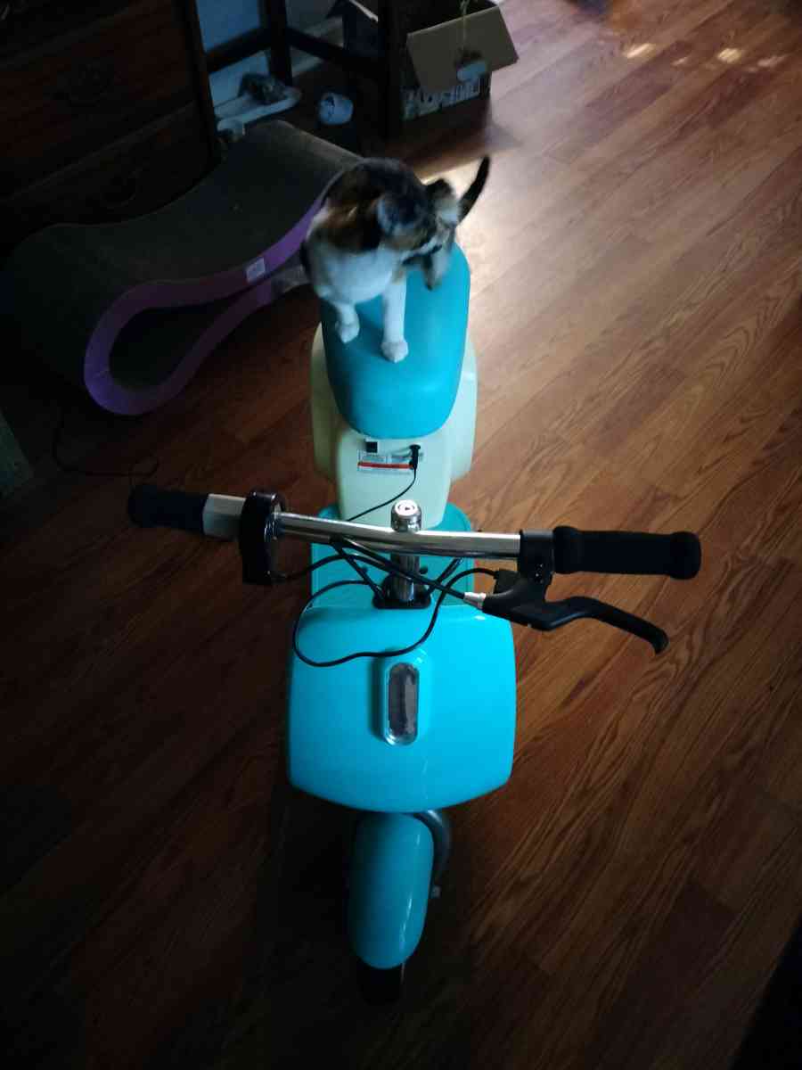 razor pocket pod petit