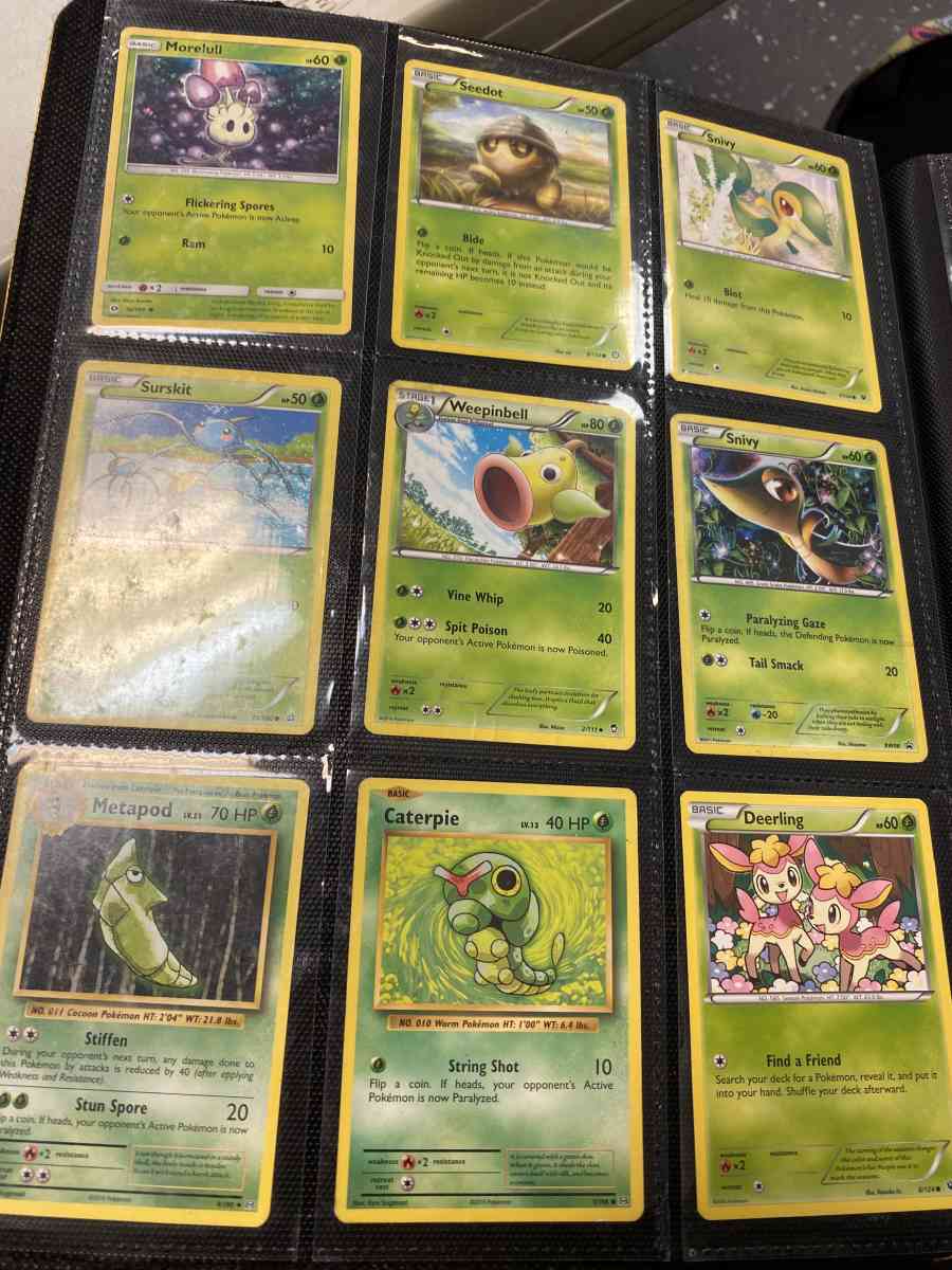 Pokmon binder and cards