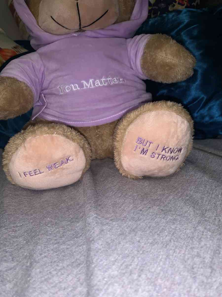 light brown ORIGINAL YOU MATTER voice recording bear