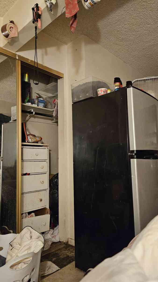 refrigeratorfreezer cheats brand glass shelves