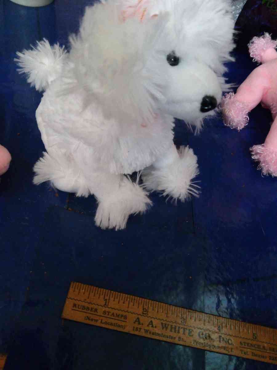 TY L amore beanie baby